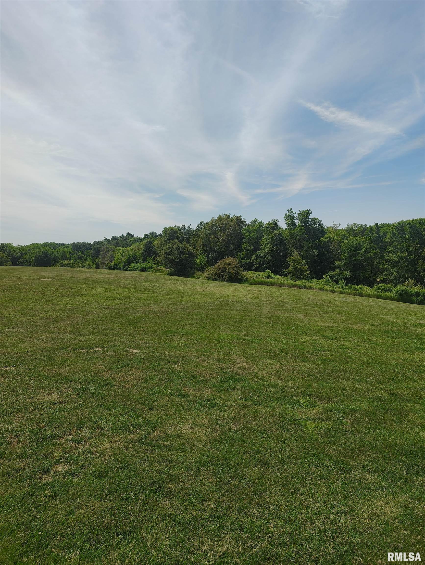30720 North Norris Blacktop Road Farmington, IL 61531 - Photo 90 of 94