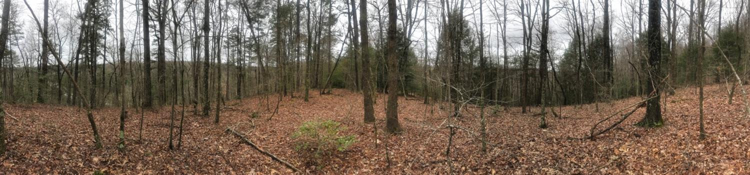 999 Laurel Cove Road London, KY 40741 - Photo 13 of 15 Photo 13