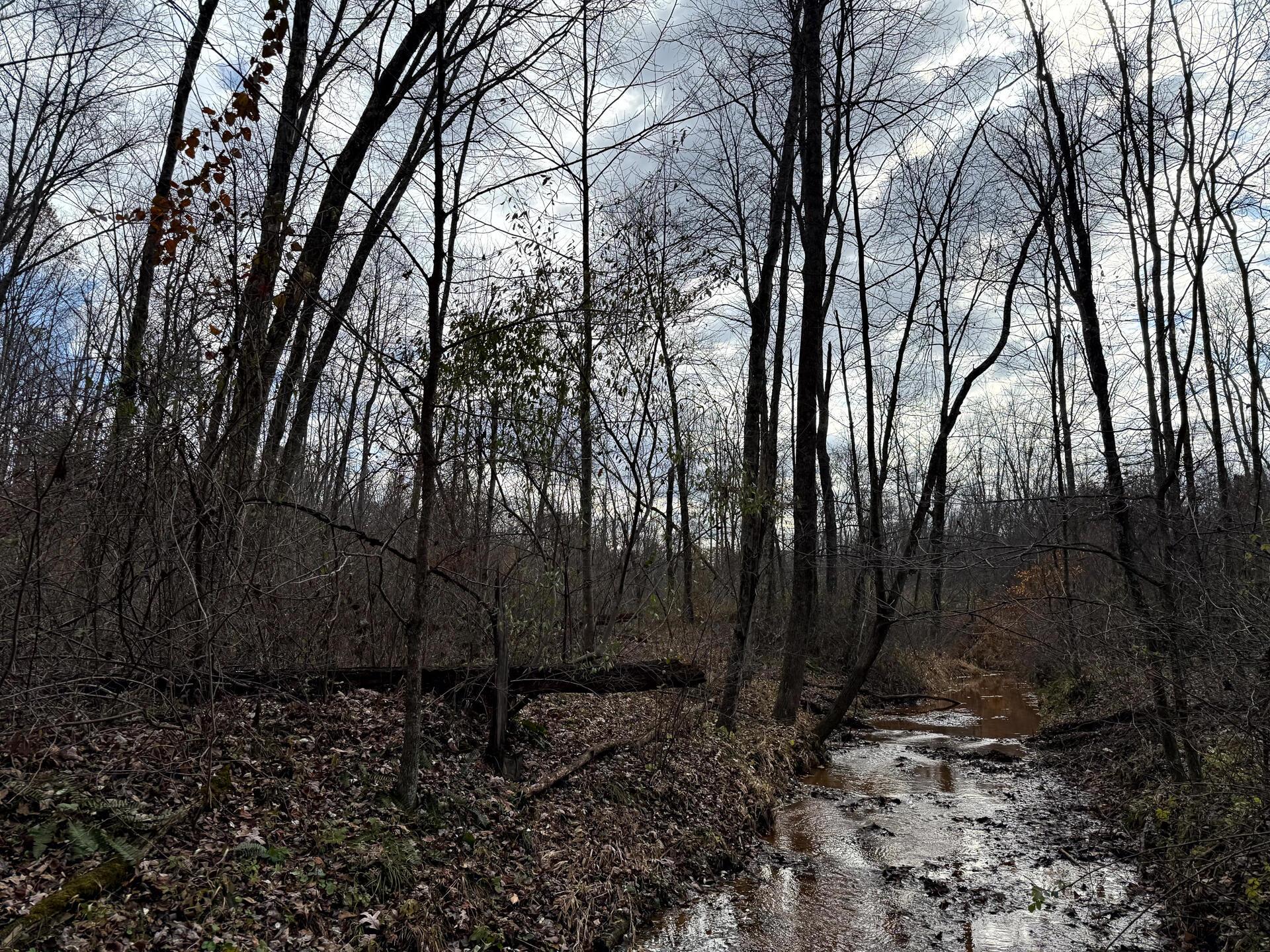 0 Dutch Ridge Road Southeast, Unit WOODS TURKEY RUN TRACT 4) New Lexington, OH 43764 - Photo 29 of 58 CT-29