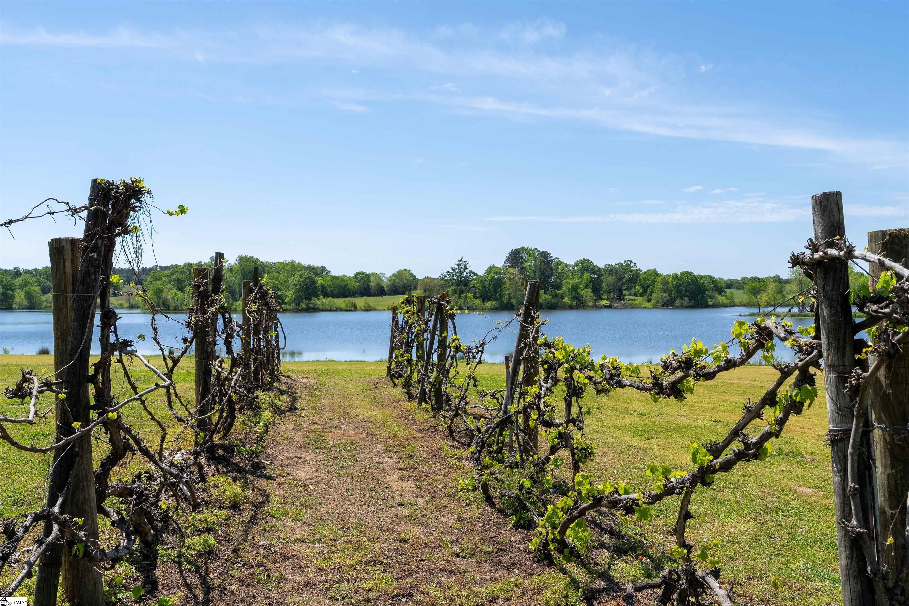 402 Nanaloo A Avenue Waterloo, SC 29384 - Photo 37 of 39