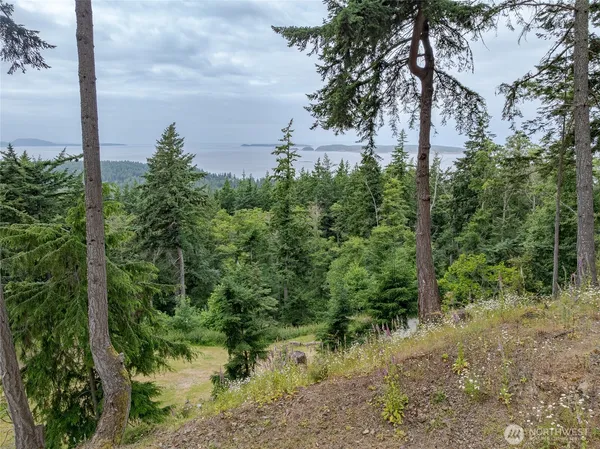 $379,000 | 540 Wright Road, Orcas Island, WA 98245
