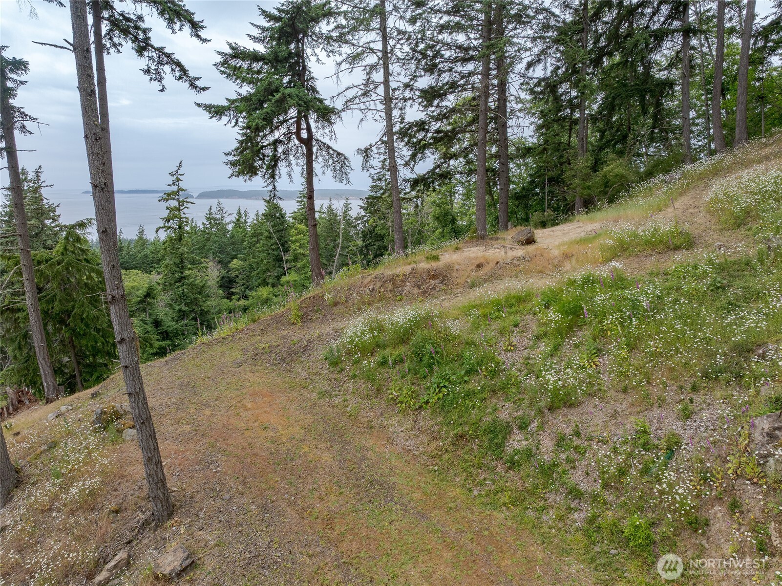 540 Wright Road Orcas Island, WA 98245 - Photo 11 of 40