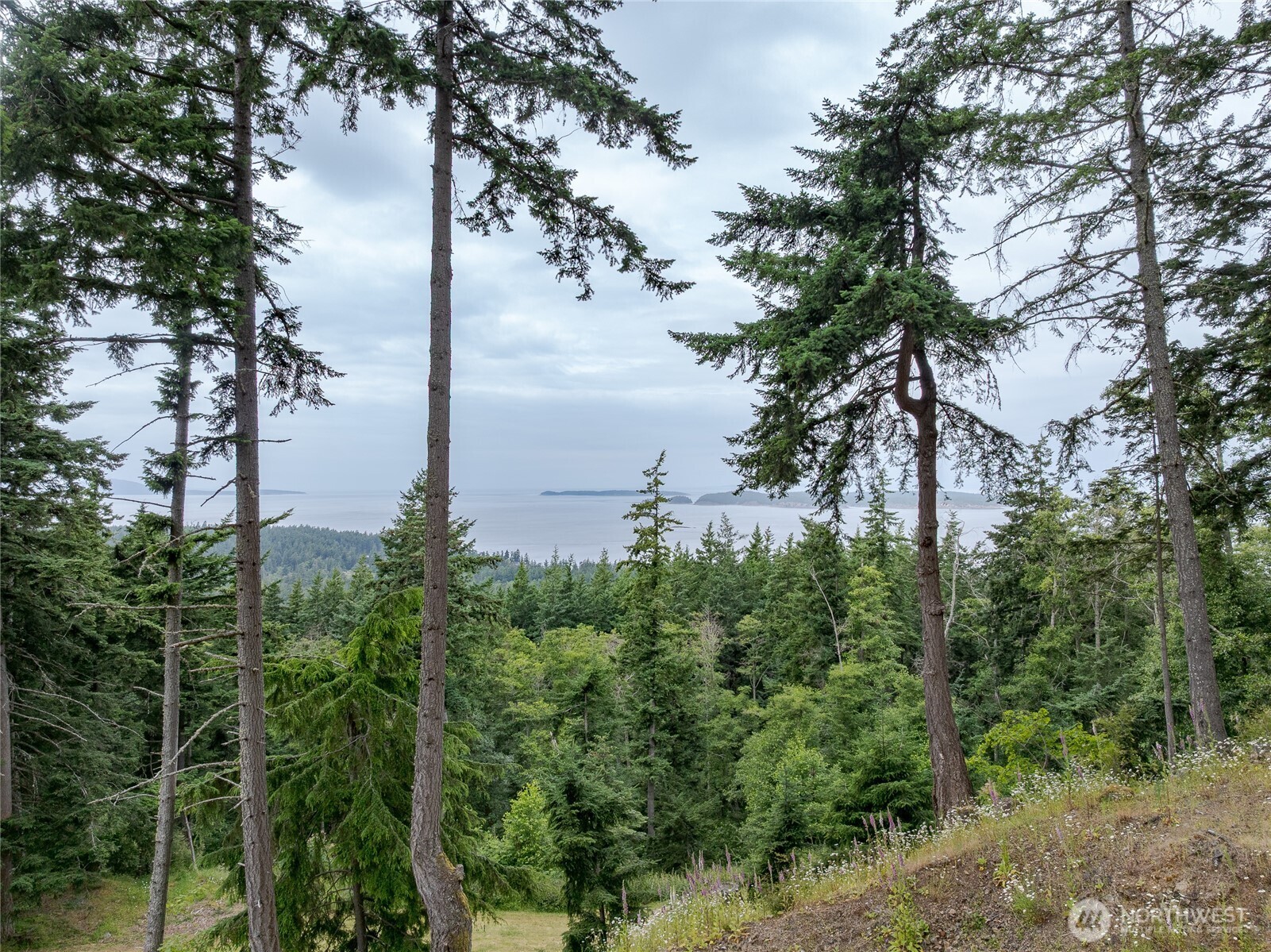 540 Wright Road Orcas Island, WA 98245 - Photo 13 of 40