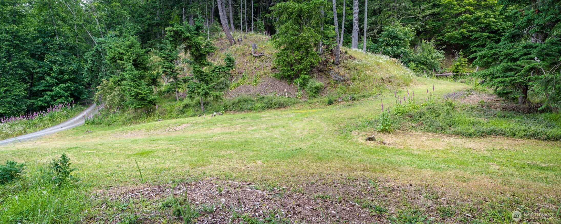 540 Wright Road Orcas Island, WA 98245 - Photo 14 of 40