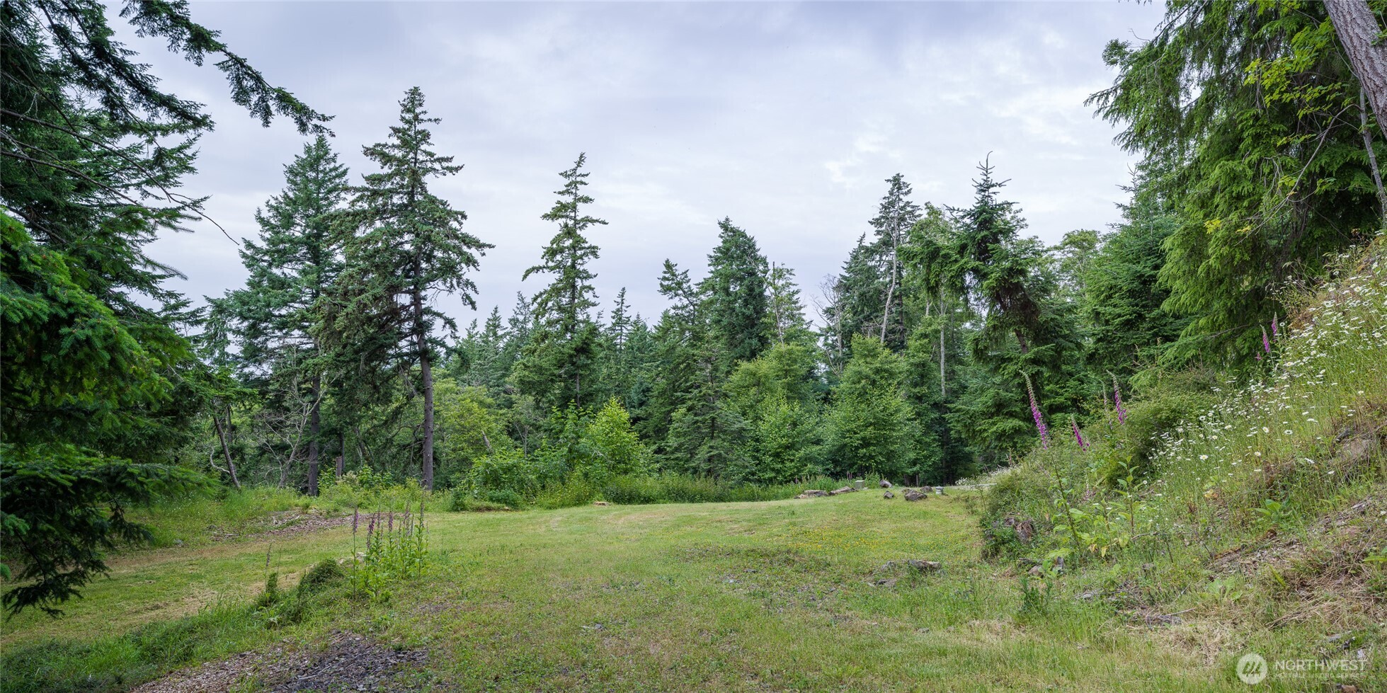540 Wright Road Orcas Island, WA 98245 - Photo 16 of 40