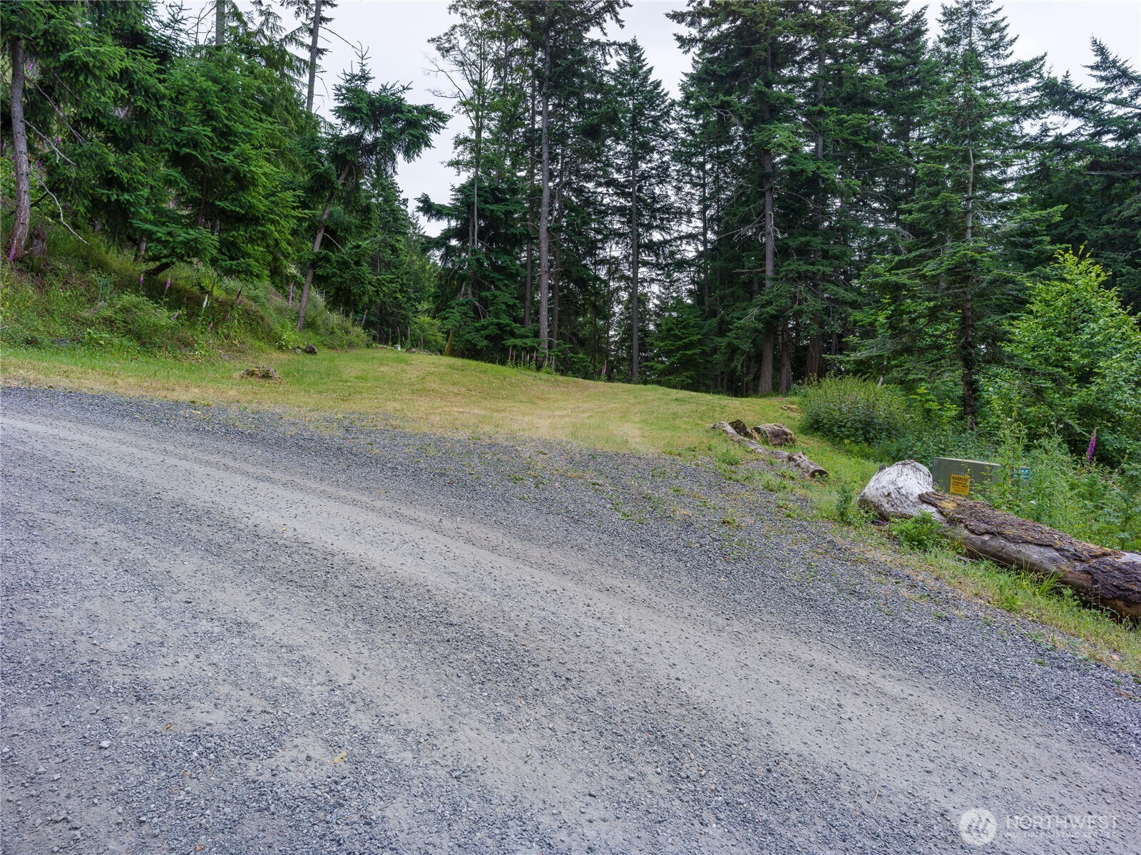 540 Wright Road Orcas Island, WA 98245 - Photo 17 of 40
