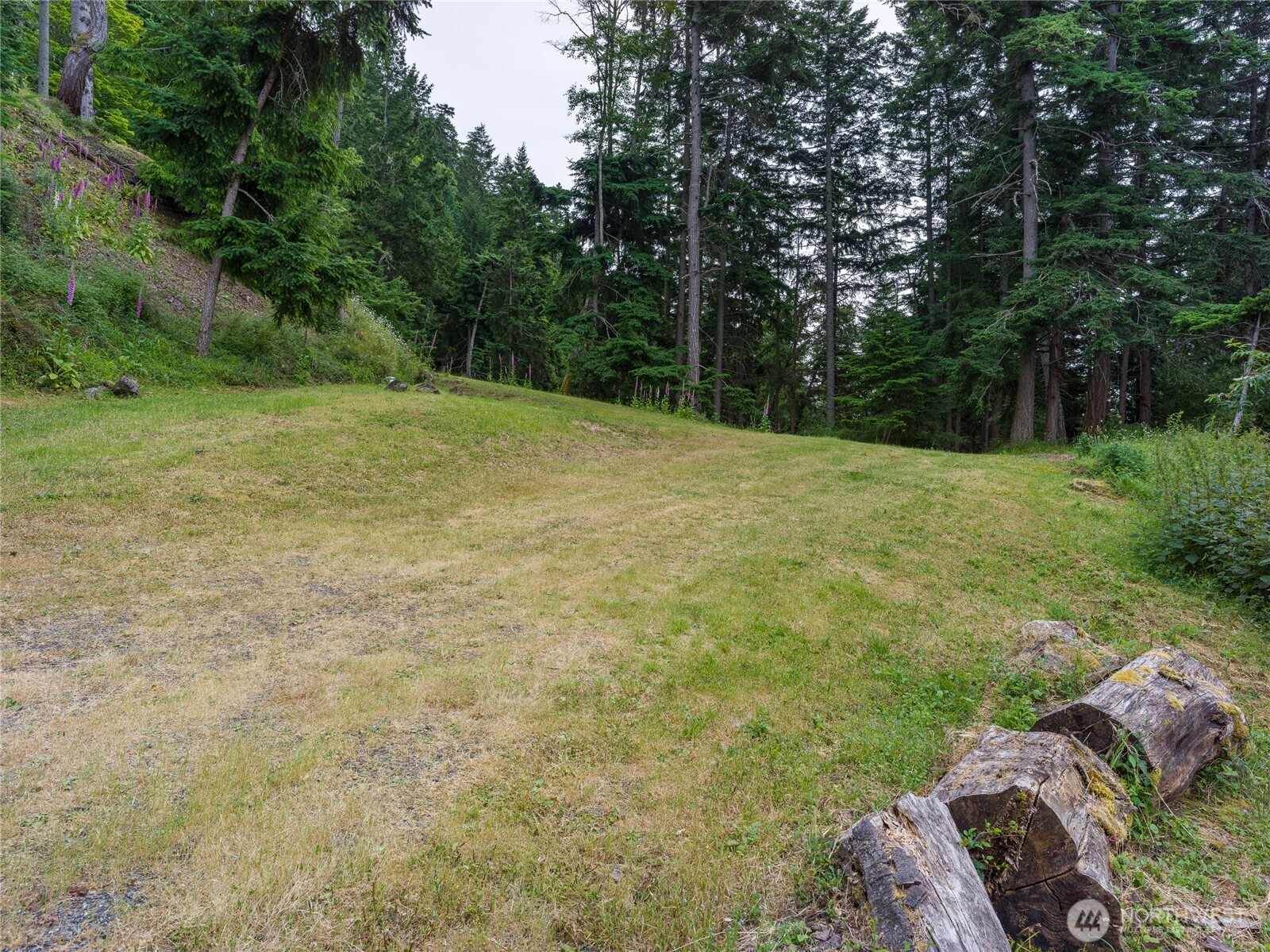 540 Wright Road Orcas Island, WA 98245 - Photo 18 of 40