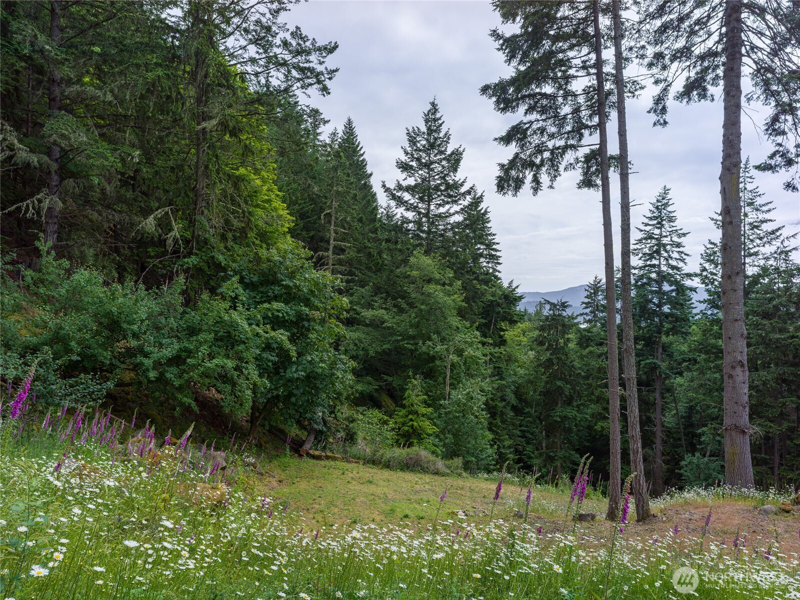 540 Wright Road Orcas Island, WA 98245 - Photo 23 of 40