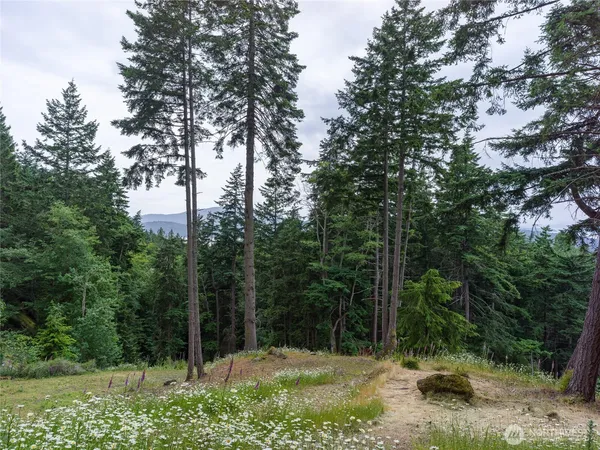 $379,000 | 540 Wright Road, Orcas Island, WA 98245