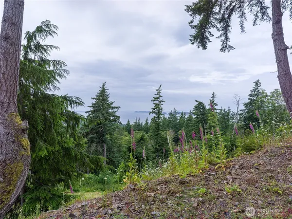 $379,000 | 540 Wright Road, Orcas Island, WA 98245