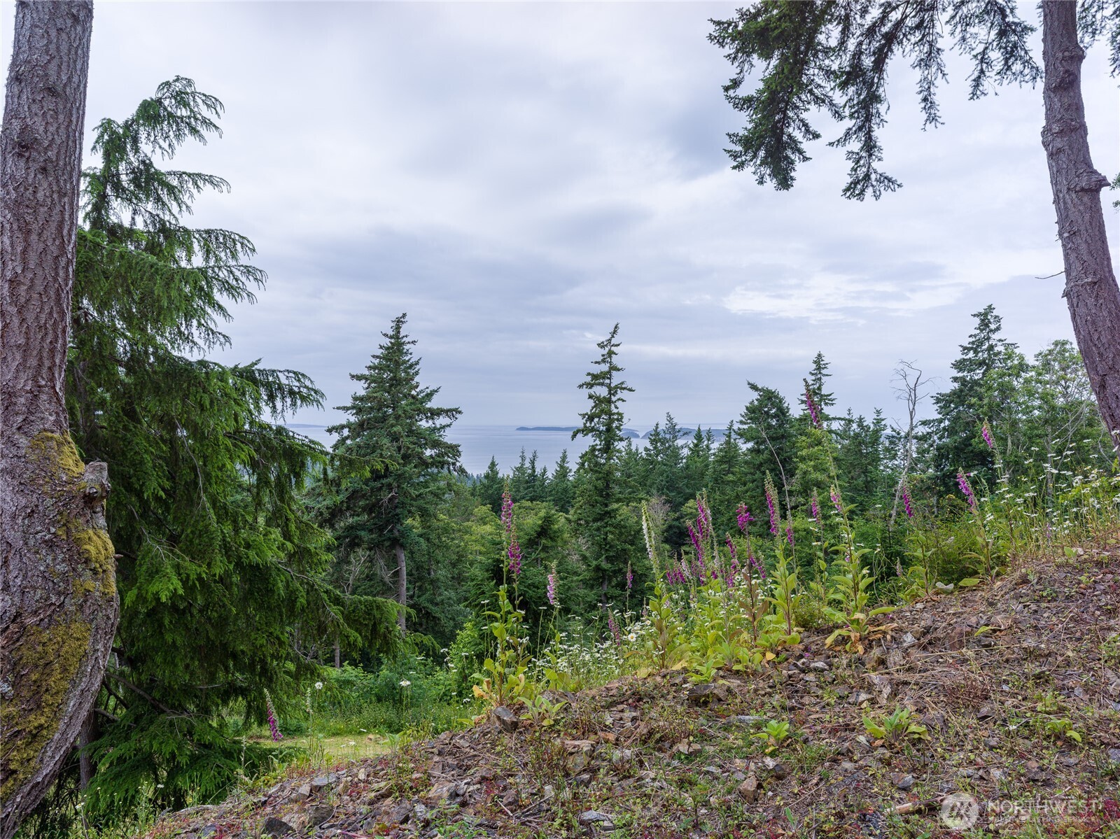 540 Wright Road Orcas Island, WA 98245 - Photo 25 of 40