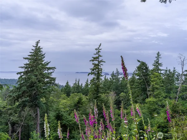 $379,000 | 540 Wright Road, Orcas Island, WA 98245