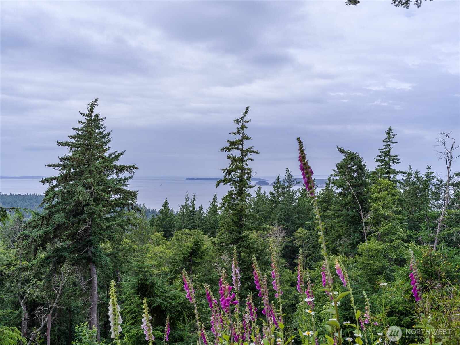 540 Wright Road Orcas Island, WA 98245 - Photo 26 of 40