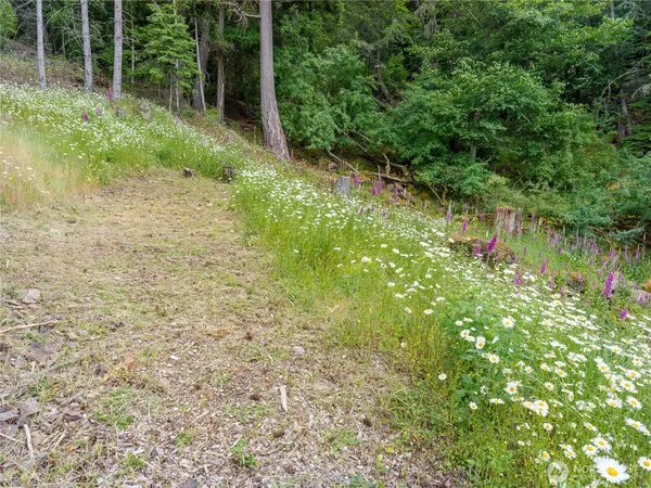 $379,000 | 540 Wright Road, Orcas Island, WA 98245