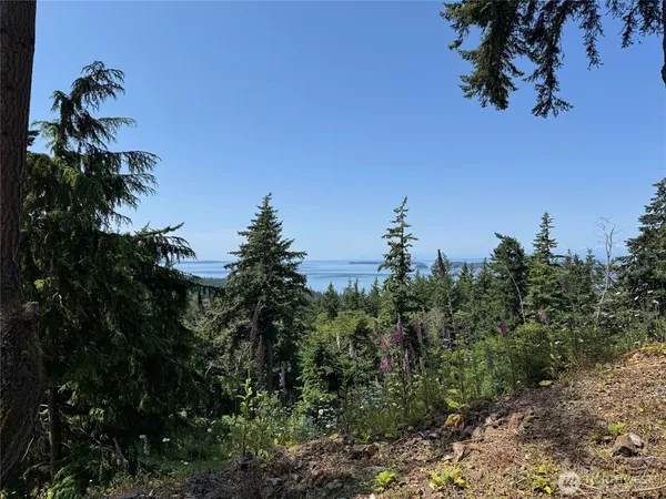 $379,000 | 540 Wright Road, Orcas Island, WA 98245