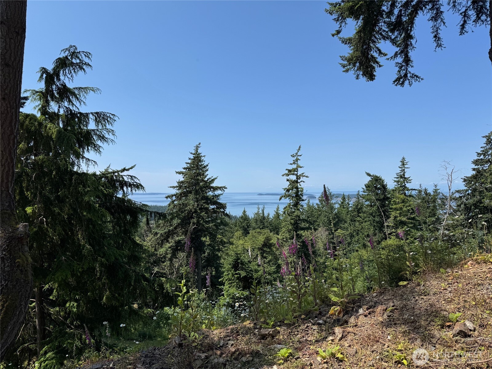 540 Wright Road Orcas Island, WA 98245 - Photo 28 of 40