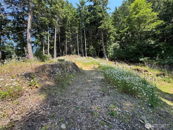 $379,000 | 540 Wright Road, Orcas Island, WA 98245