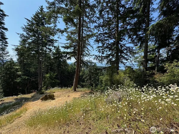 $379,000 | 540 Wright Road, Orcas Island, WA 98245