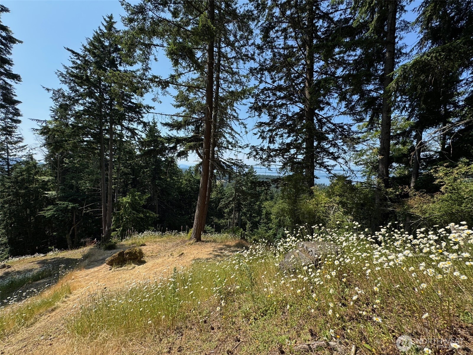 540 Wright Road Orcas Island, WA 98245 - Photo 31 of 40
