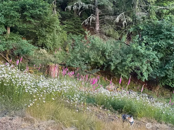 $379,000 | 540 Wright Road, Orcas Island, WA 98245