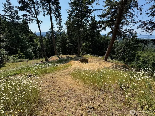 $379,000 | 540 Wright Road, Orcas Island, WA 98245