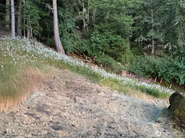 $379,000 | 540 Wright Road, Orcas Island, WA 98245