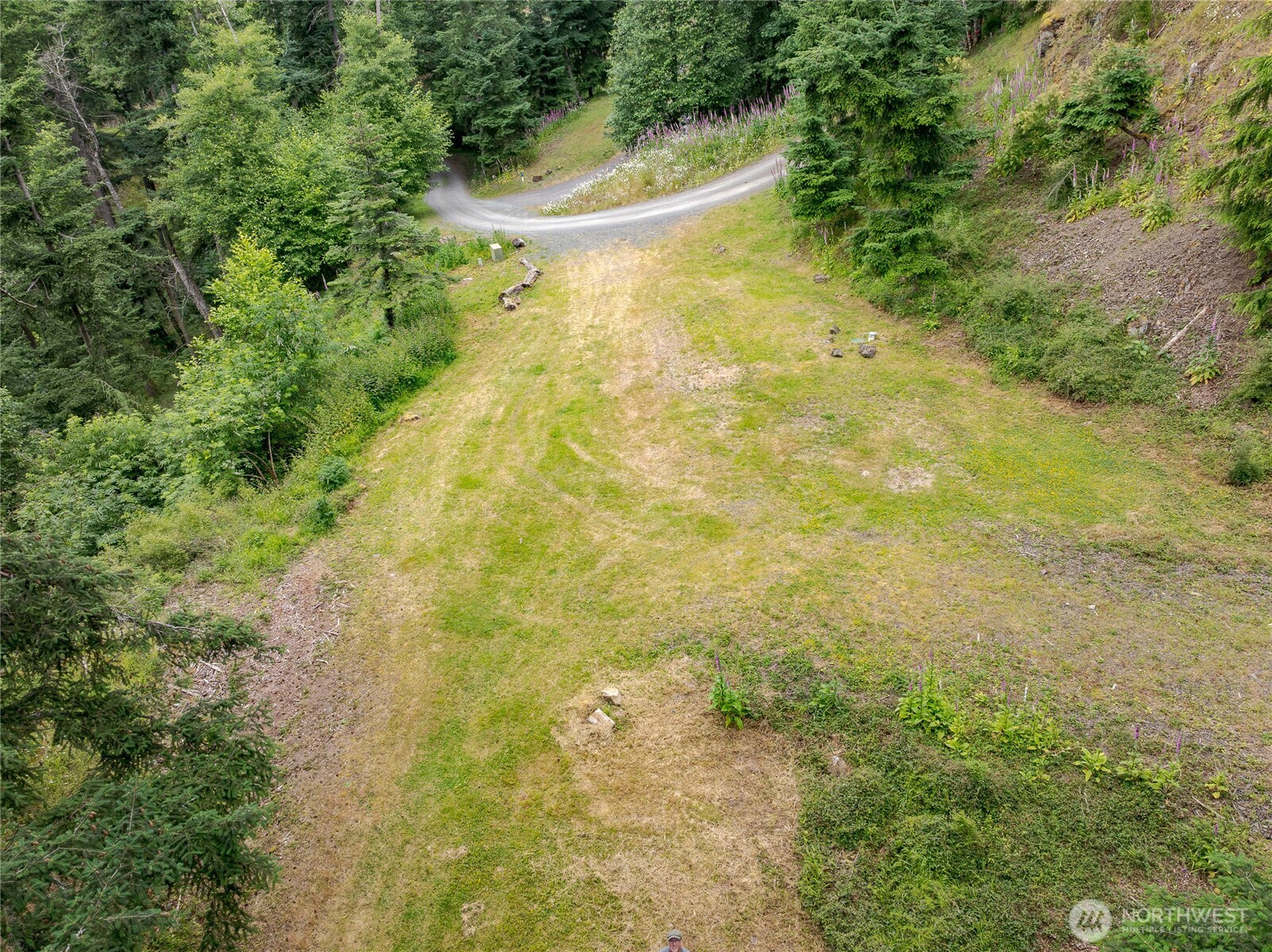 540 Wright Road Orcas Island, WA 98245 - Photo 6 of 40
