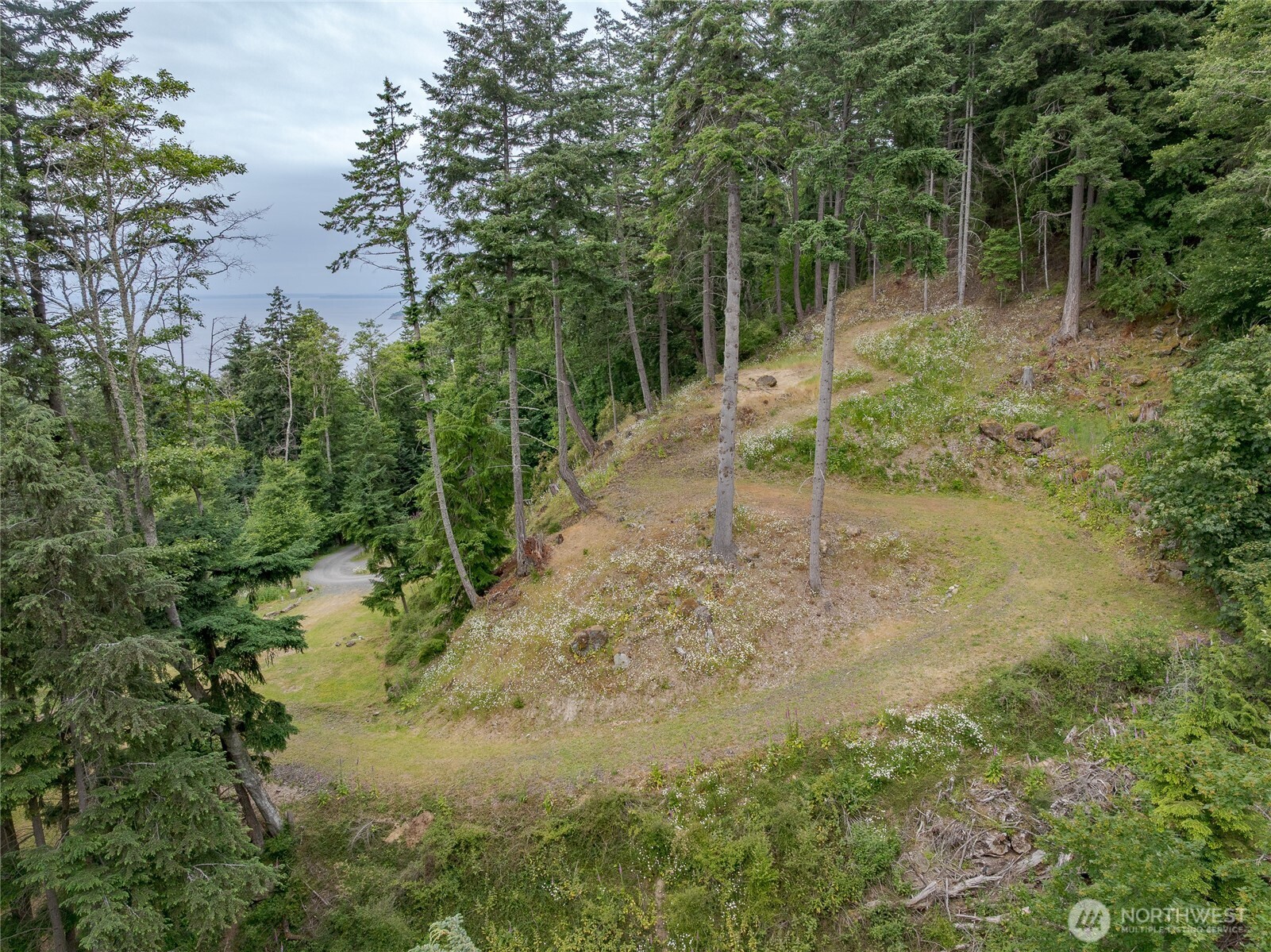 540 Wright Road Orcas Island, WA 98245 - Photo 7 of 40