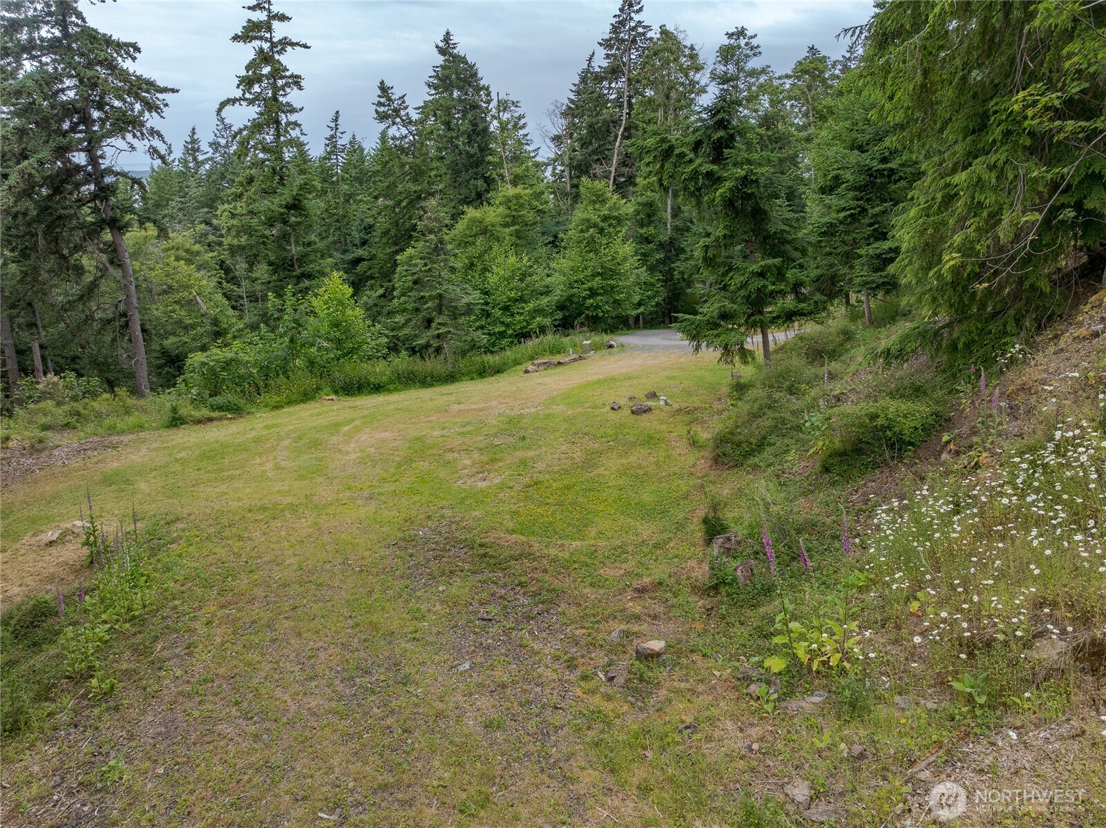 540 Wright Road Orcas Island, WA 98245 - Photo 8 of 40