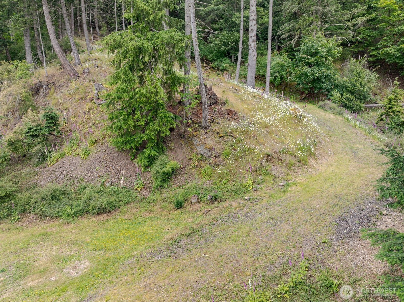 540 Wright Road Orcas Island, WA 98245 - Photo 10 of 40