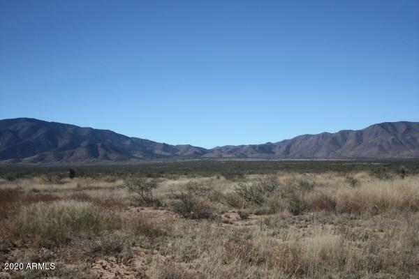 Tbd South Bell Ranch Road Willcox, AZ 85643 - Photo 4 of 6 IMG_4446