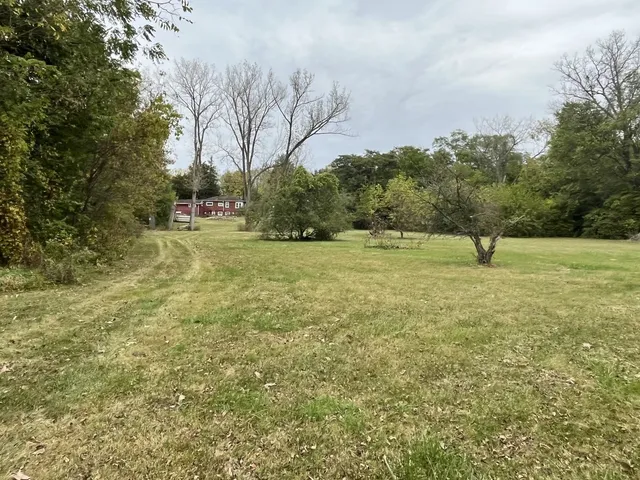 a view of park with large trees