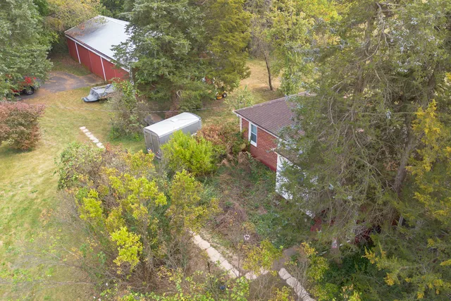 a view of a yard with plants