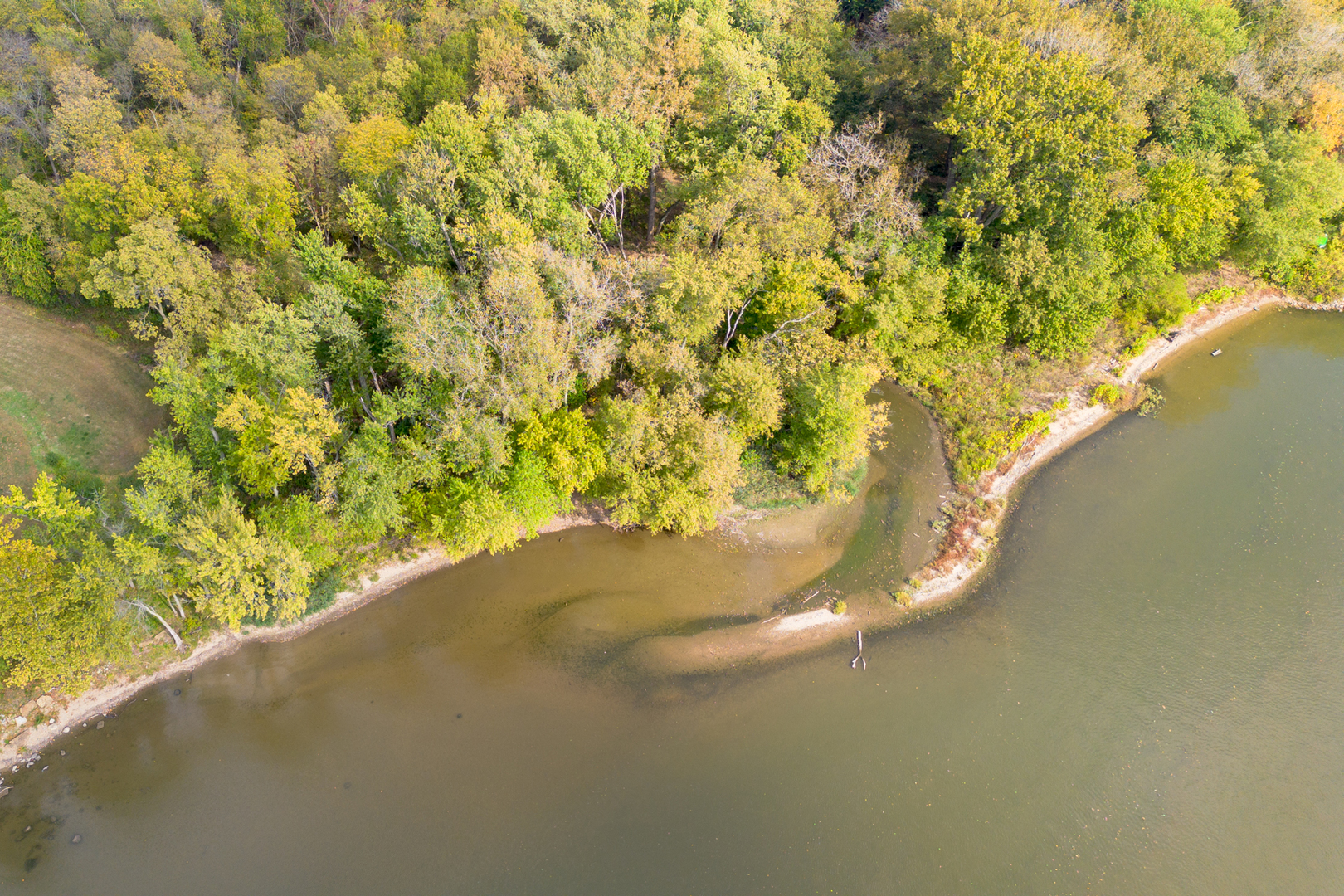 1994 North 2753rd Road Ottawa, IL 61350 - Photo 23 of 37 a view of a plant in a pot