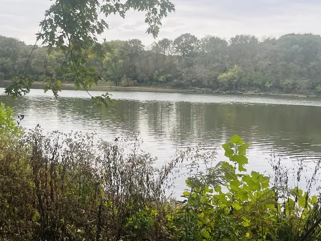 a view of a lake with a yard and mountain view