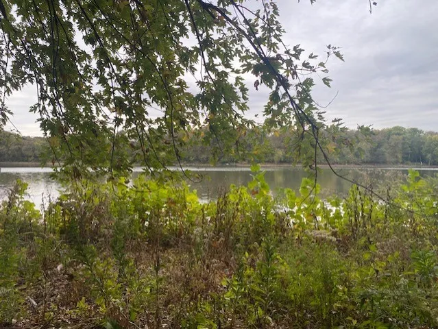 a view of lake with green space