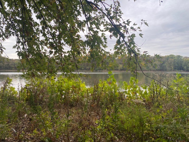 1994 North 2753rd Road Ottawa, IL 61350 - Photo 5 of 37 a view of lake with green space