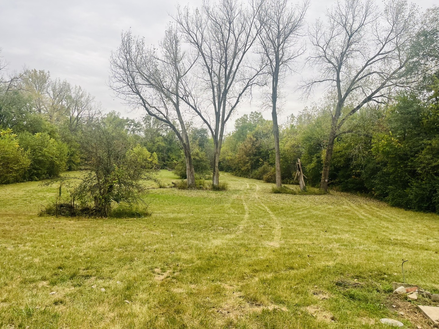 1994 North 2753rd Road Ottawa, IL 61350 - Photo 10 of 37 a view of a swimming pool with a yard and large trees