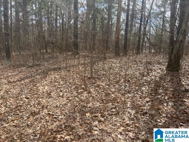 0 Ridgeway Circle, Unit 95 AND 96 Talladega, AL 35160 - Photo 7 of 10