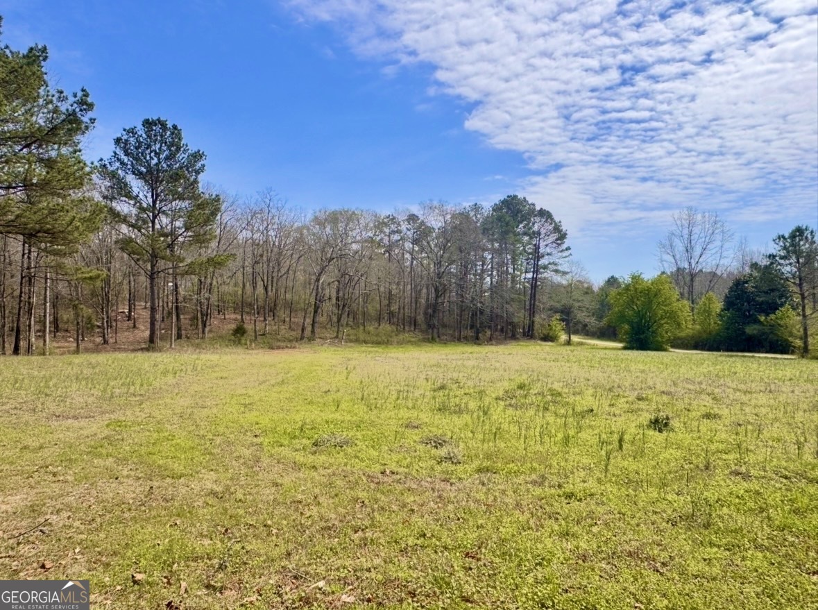 2331 Hollonville Road Brooks, GA 30205 - Photo 3 of 9 a view of a yard with a house