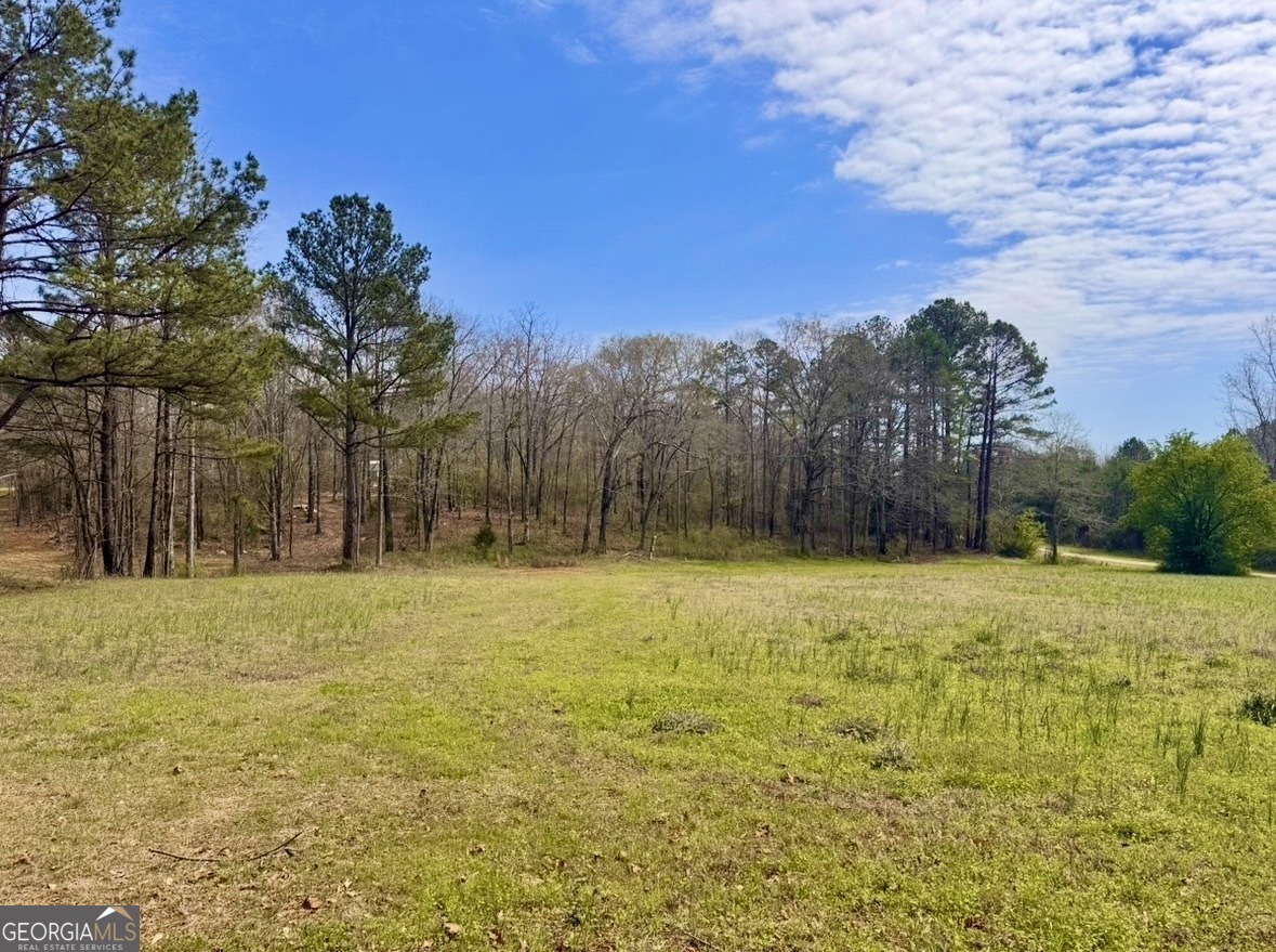 2331 Hollonville Road Brooks, GA 30205 - Photo 6 of 9 a view of a yard with an trees