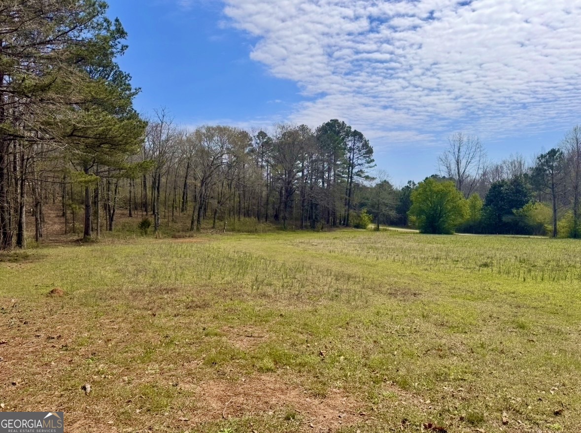 2331 Hollonville Road Brooks, GA 30205 - Photo 7 of 9 a view of a yard with a house