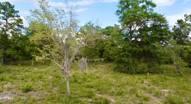 $30,000 | 0 Baker Avenue, Alford, FL 32420