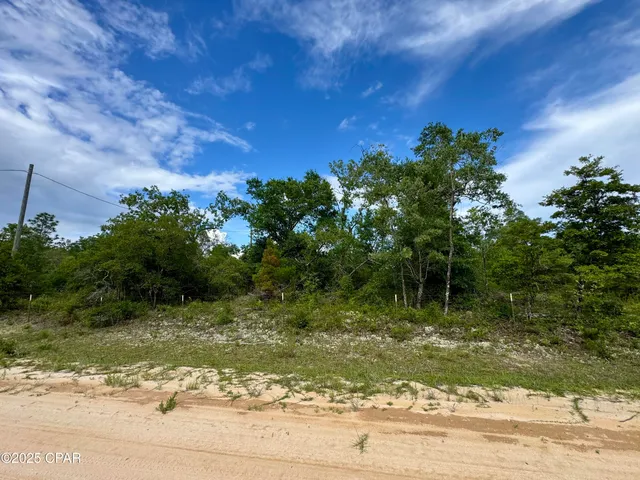 $30,000 | 0 Baker Avenue, Alford, FL 32420