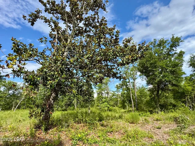 $30,000 | 0 Baker Avenue, Alford, FL 32420