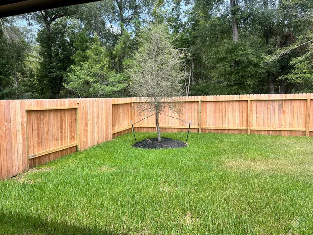 a view of backyard with green space
