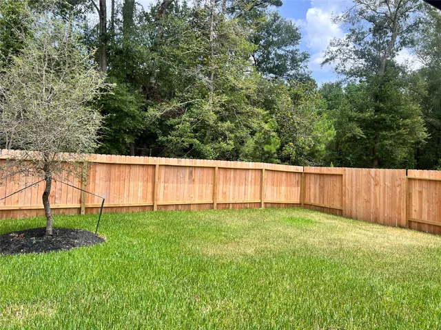 a view of a backyard