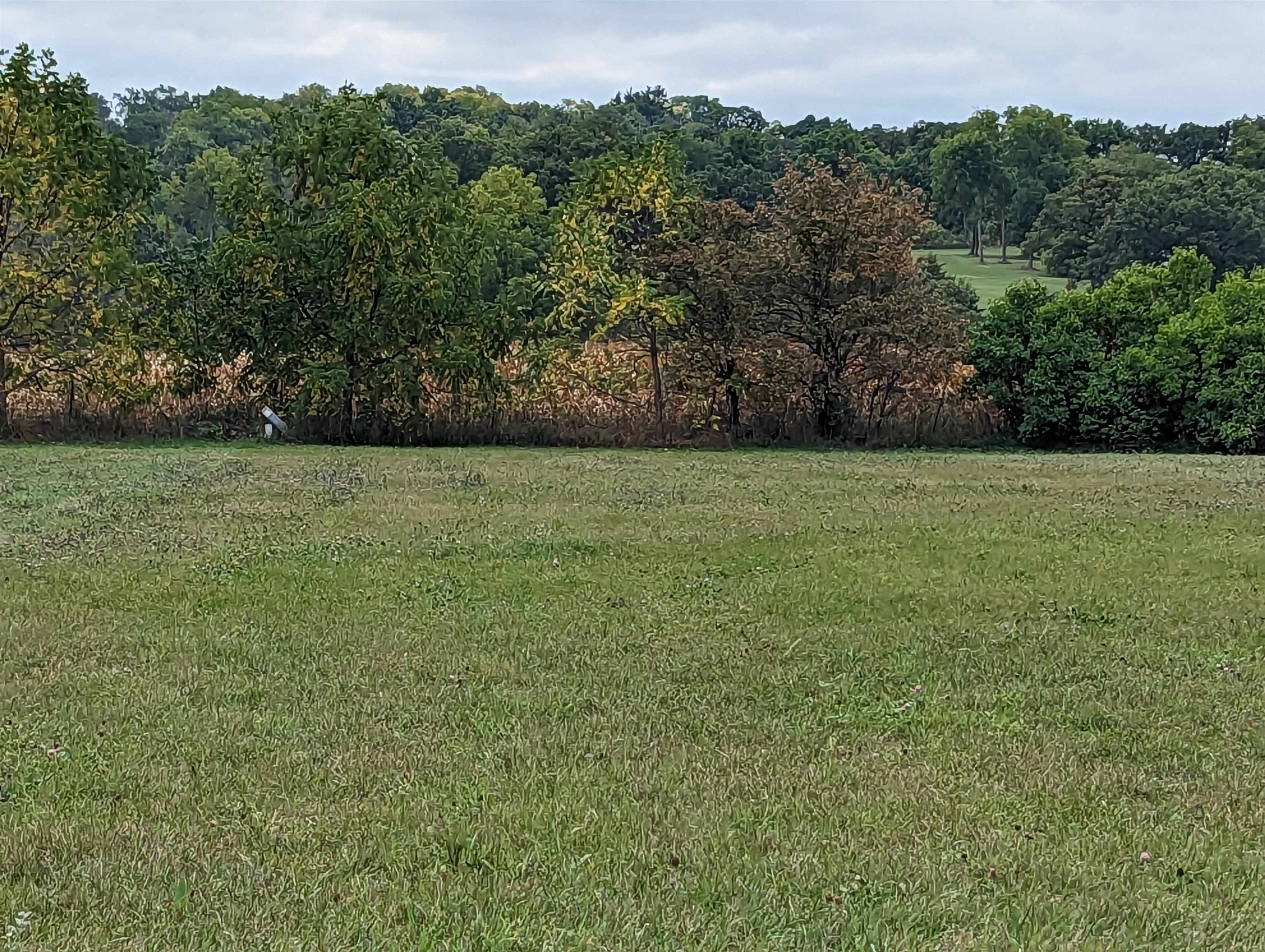 188 Lake Summerset Road Lake Summerset, IL 61019 - Photo 3 of 6 a view of a field with trees in background