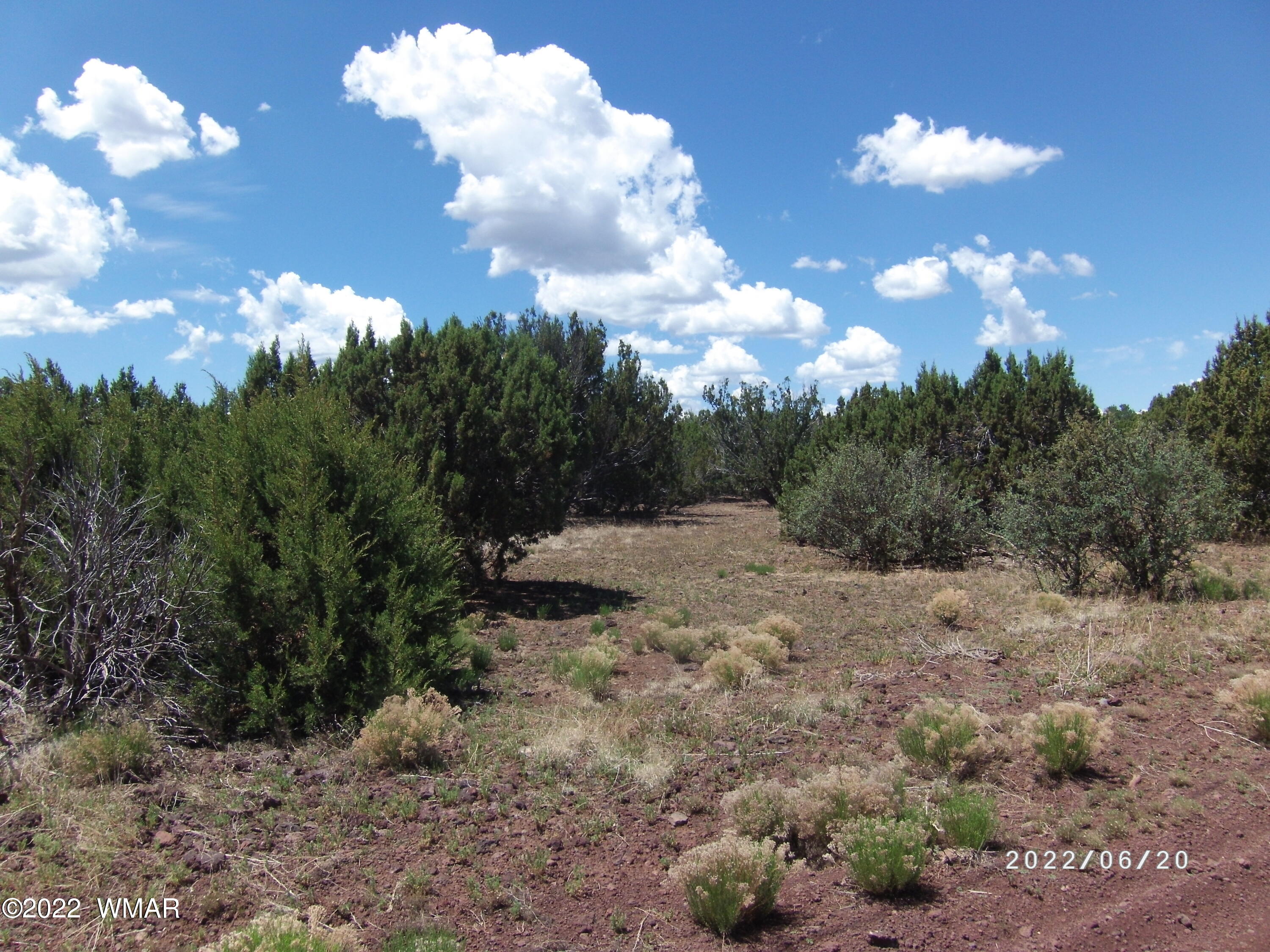 54 County Road Show Low, AZ 85901 - Photo 2 of 6
