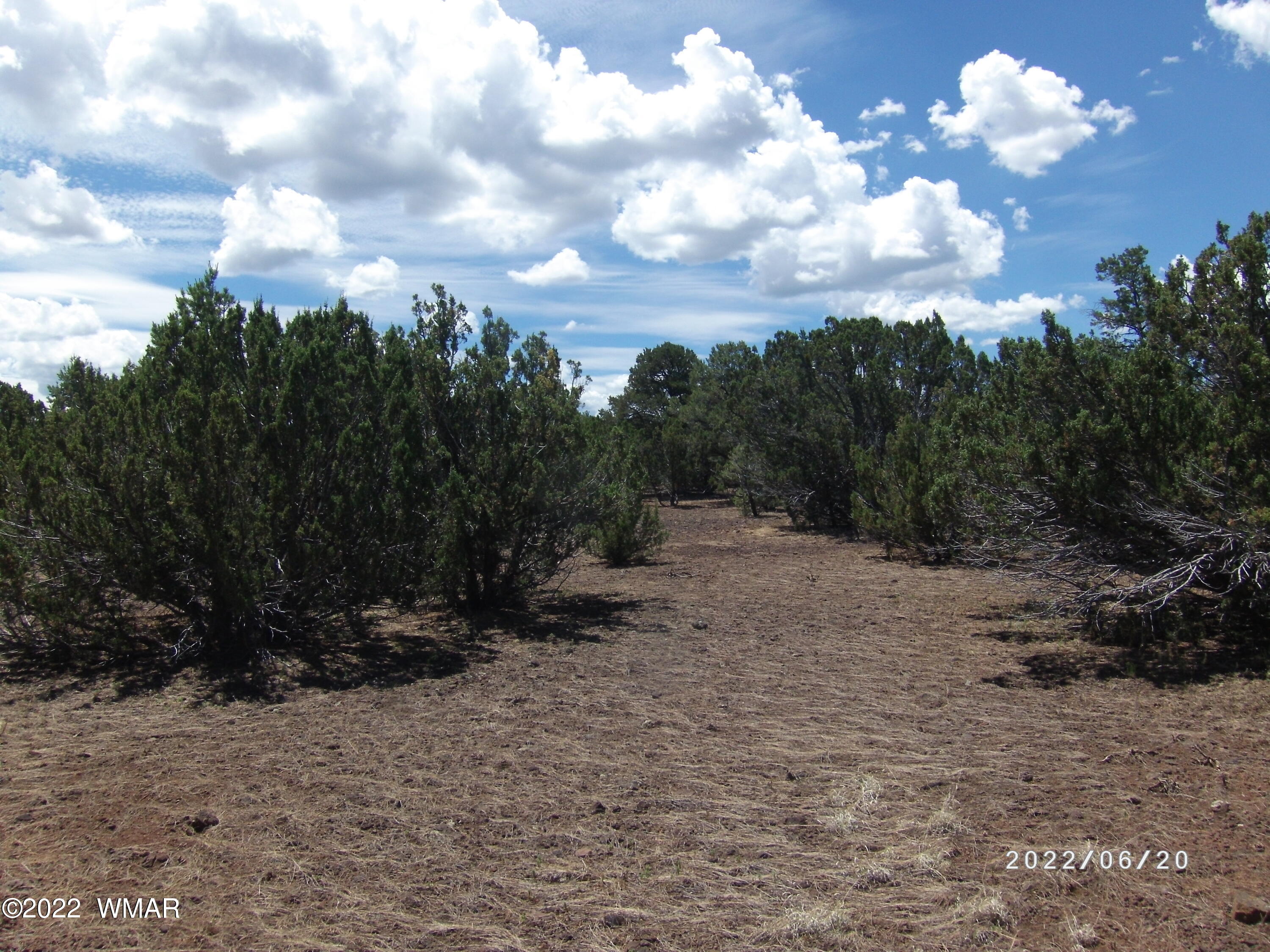54 County Road Show Low, AZ 85901 - Photo 4 of 6